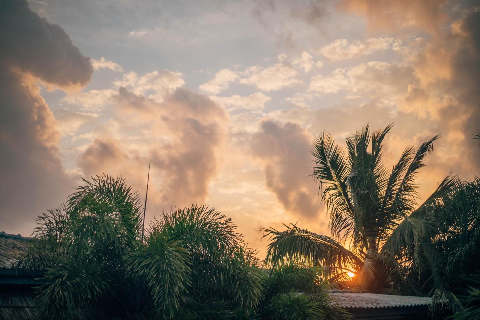 Shell Resort Arugam Bay Exterior photo
